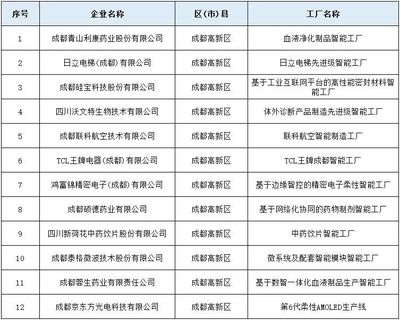 成都高新區(qū)12家企業(yè)入選四川省先進(jìn)級智能工廠，網(wǎng)絡(luò)技術(shù)服務(wù)成關(guān)鍵支撐
